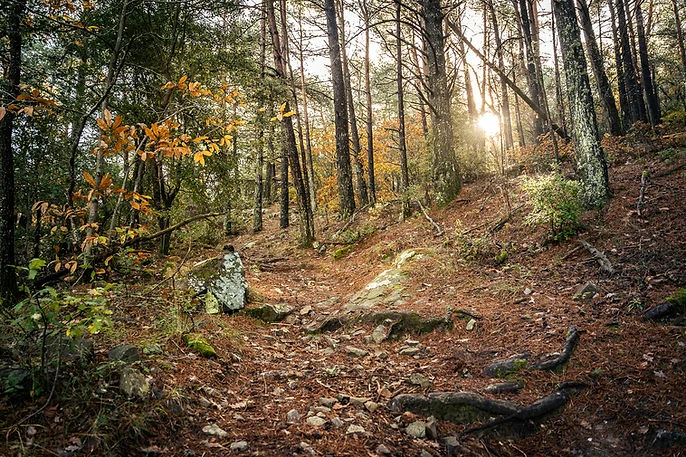 Muntanyes de Prades Epic Trail 2026 - Prades